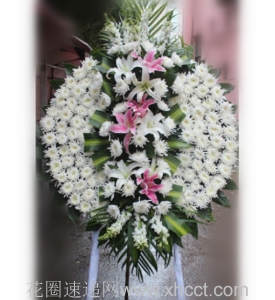 常怀典范-菊花，百合，绿叶组成花圈，按图订制，规格：高约为1.6米<葬礼花圈>